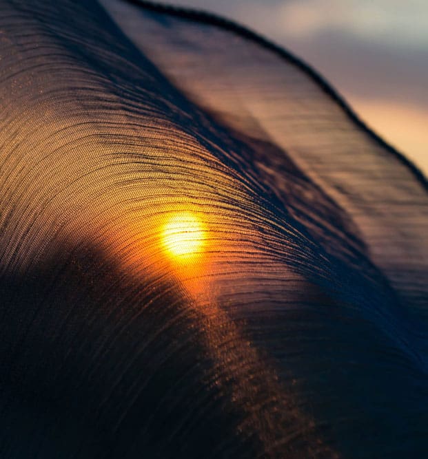 skaneateles Fat Transfer model Skaneateles Fat Transfer model